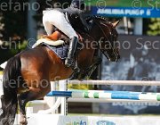 AMILIBIA NOTRE STAR LaBaule2013- S4 8757 : 2013, AMILIBIA PAOLA, La Baule, NOTRE STAR DE LA NUTRIA, foto di Stefano Secchi
